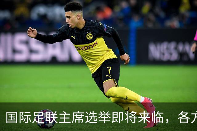 国际足联主席选举即将来临，各方寻找合适候选人挑战因凡蒂诺